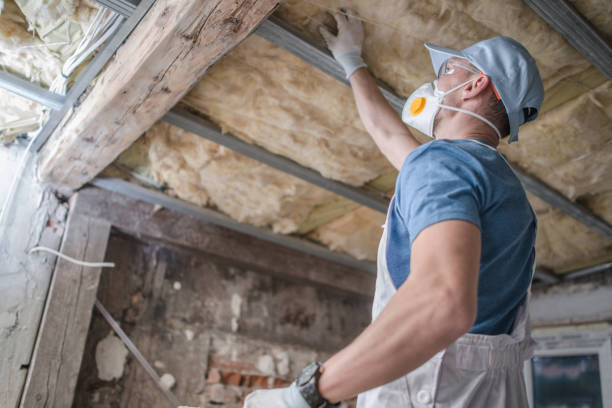 Professional Insulation Contractor in Cresaptown, MD