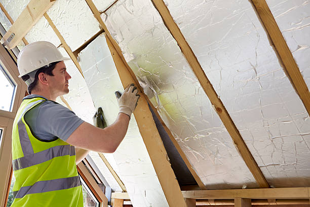Best Insulation Maintenance and Repair in Cresaptown, MD